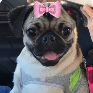 Meet your Posher, Christine